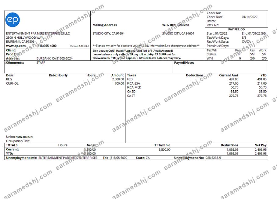 USA Entertainment Partners Enterprises financial company pay stub